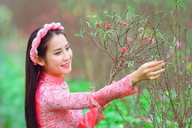 Chính thức: Nghỉ Tết Nguyên đán Ất Tỵ 9 ngày, từ 26 tháng Chạp