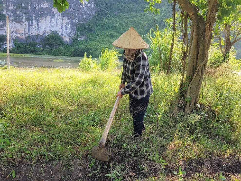 Ninh Bình: Hàng nghìn người chèo đò sẽ được hỗ trợ theo Nghị quyết 68 - 2 Ninh Bình: Hàng nghìn người chèo đò sẽ được hỗ trợ theo Nghị quyết 68 - 2