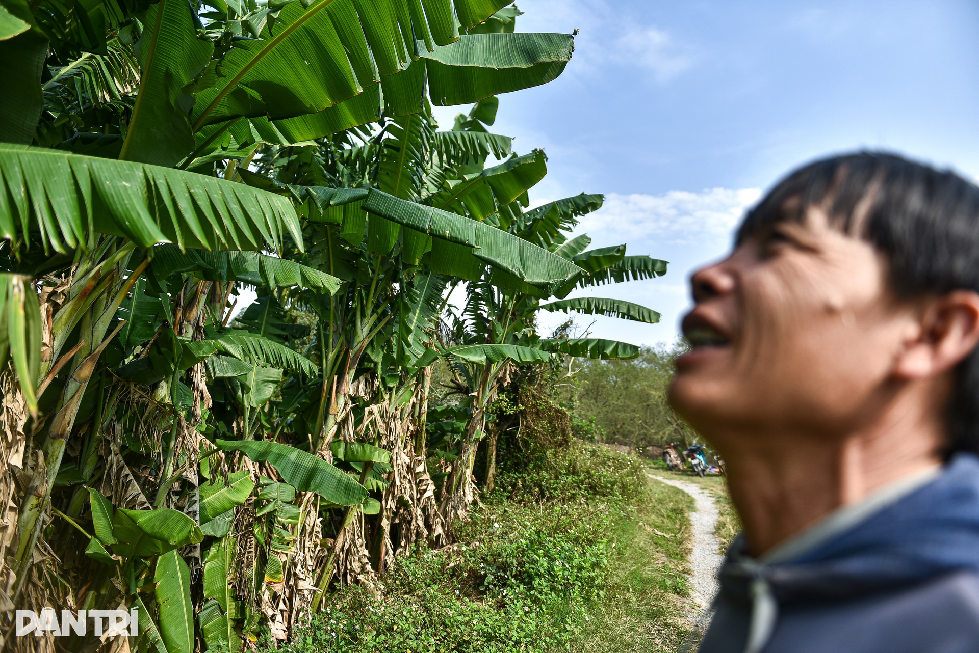 Cuộc sống hiện tại của triệu phú nông dân Đoàn Văn Vươn - 8 Cuộc sống hiện tại của triệu phú nông dân Đoàn Văn Vươn - 8