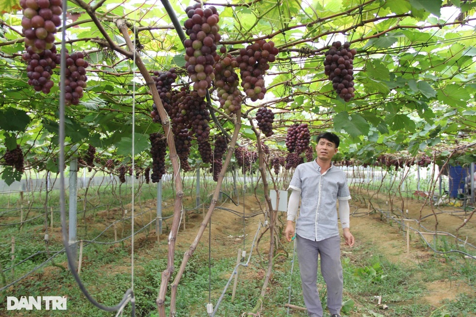 Những triệu phú trở về từ "trời Tây"