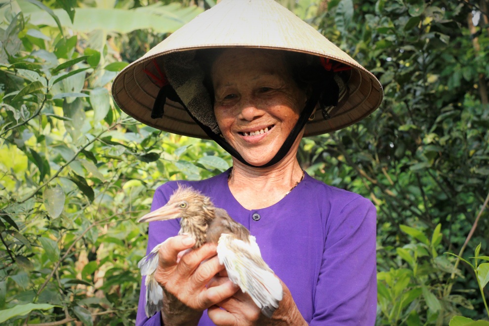 Hai gia đình hàng chục năm cưu mang chim trời - 13 Hai gia đình hàng chục năm cưu mang chim trời - 13