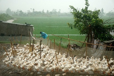 Huyện đầu bão trước "giờ G"