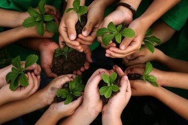 Học viện Nông nghiệp Việt Nam nhận hồ sơ xét tuyển từ 1/3/2021