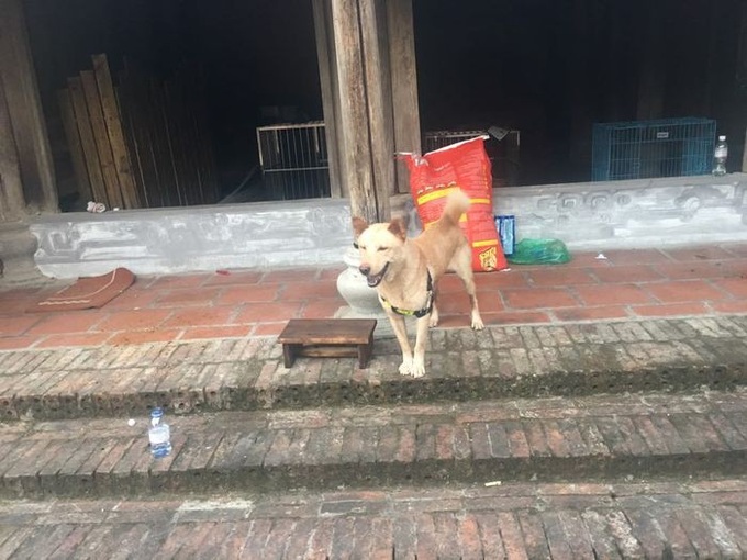 Lộ diện lão Hạc cùng dàn cast chính trong phim điện ảnh "Cậu Vàng": Duy chỉ 1 nhân vật còn chưa được chọn! - Ảnh 17. Lộ diện lão Hạc cùng dàn cast chính trong phim điện ảnh "Cậu Vàng": Duy chỉ 1 nhân vật còn chưa được chọn! - Ảnh 17.