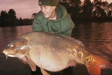 Con cá chép nặng gần nửa tạ