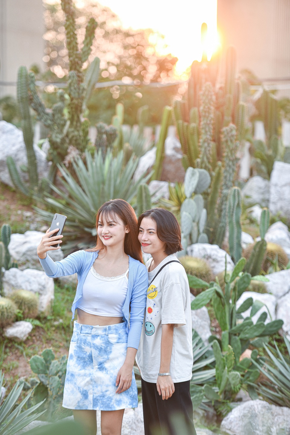 Lạc bước trong vườn xương rồng - tọa độ check-in mới của giới trẻ Hà Nội - 6 Lạc bước trong vườn xương rồng - tọa độ check-in mới của giới trẻ Hà Nội - 6