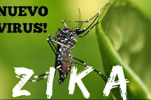 Dịch do Zika gây viêm não nhỏ truyền qua muỗi sốt xuất huyết