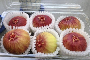 Sung Mỹ “khổng lồ” giá nửa triệu kg, chị em tranh nhau mua về ăn tráng miệng