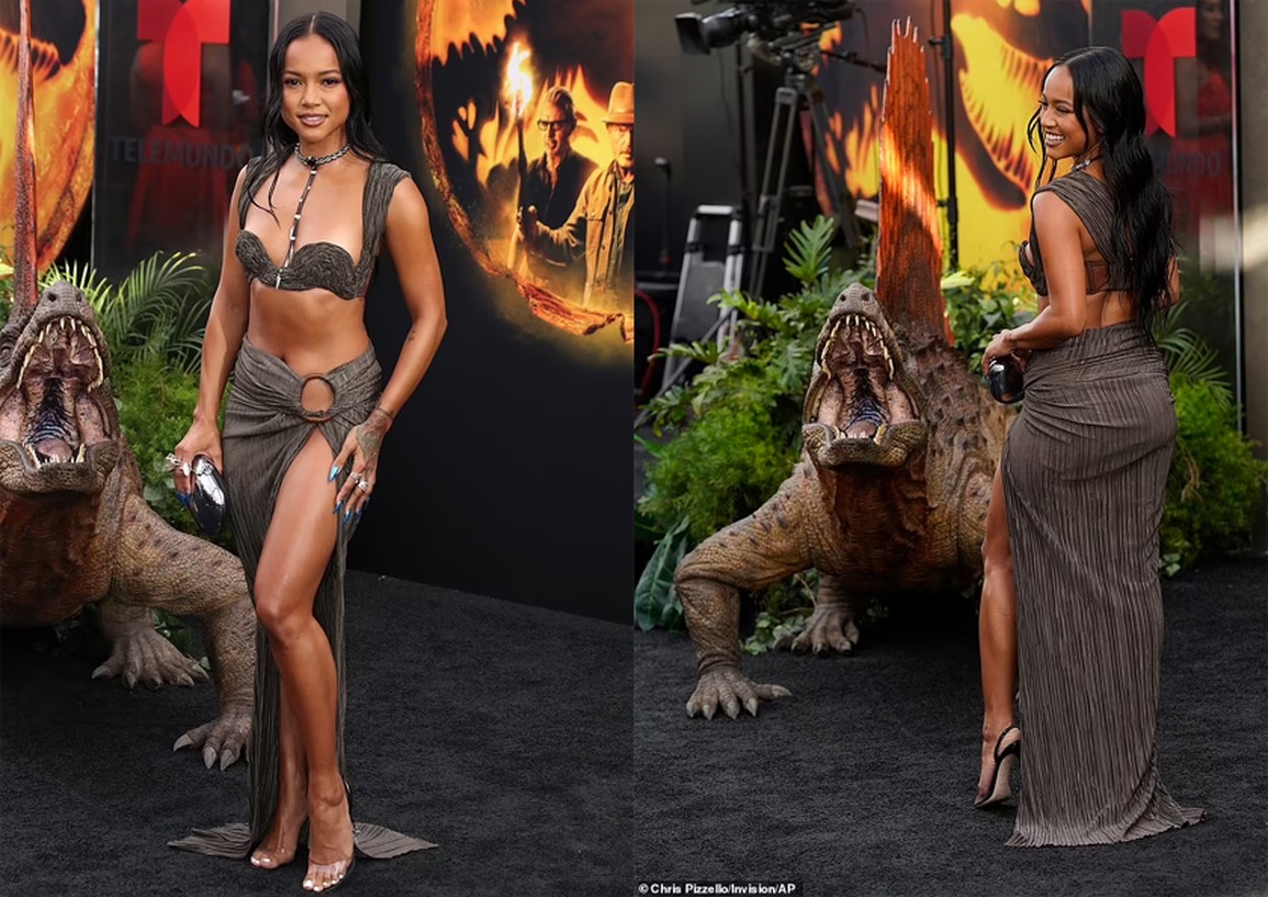 Người đẹp gốc Việt Karrueche Tran úp mở về bạn trai tin đồn - 1 Người đẹp gốc Việt Karrueche Tran úp mở về bạn trai tin đồn - 1