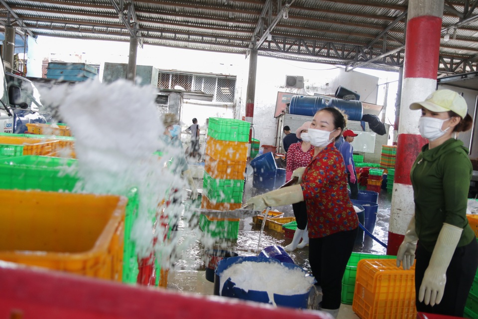 Quyết liệt chống khai thác hải sản trái phép tại vùng biển nước ngoài - 3 Quyết liệt chống khai thác hải sản trái phép tại vùng biển nước ngoài - 3