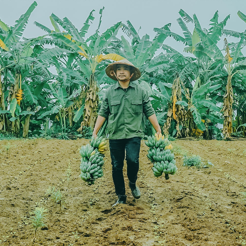 Anh nông dân trẻ hút triệu view trên TikTok nhờ nấu những món ăn quê - 4 Anh nông dân trẻ hút triệu view trên TikTok nhờ nấu những món ăn quê - 4
