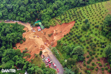 Vụ sạt lở đèo Bảo Lộc: Một phần vườn sầu riêng là đất rừng