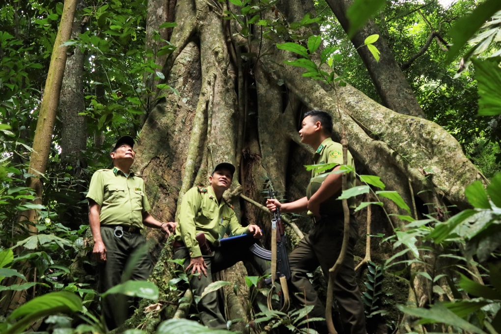 Người đàn ông 25 năm sống 3 không giữa rừng - 5 Người đàn ông 25 năm sống 3 không giữa rừng - 5