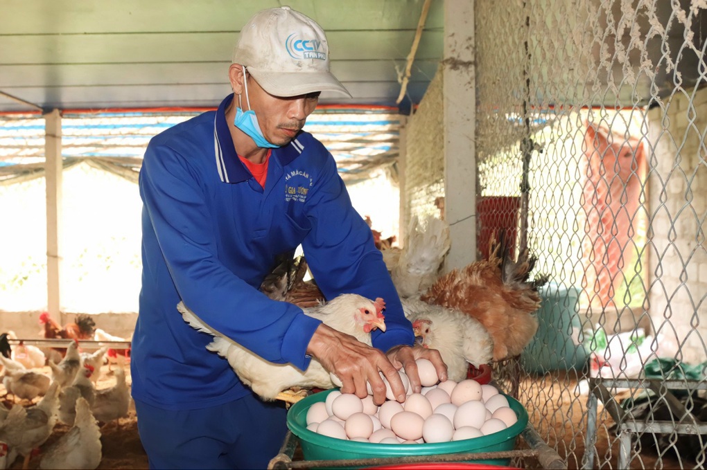 Hành trình từ tay trắng đến chủ trang trại tiền tỷ của chàng trai trẻ - 5 Hành trình từ tay trắng đến chủ trang trại tiền tỷ của chàng trai trẻ - 5