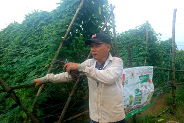 Bị mưa lũ tàn phá, nông dân lại phải trắng đêm canh trộm nông sản