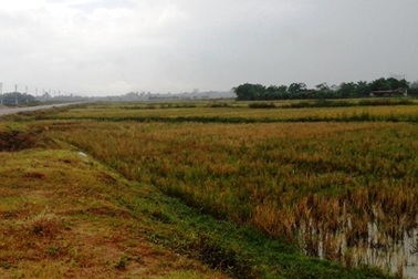 Bắt Phó giám đốc lừa thu tiền mua đất hơn 800 triệu đồng