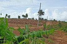 Phú Quốc lại "nóng" chuyện lấn chiếm, phá rừng