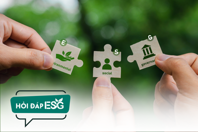 Doanh nghiệp làm ESG thật hay “đánh bóng”: Nhìn vào đâu?