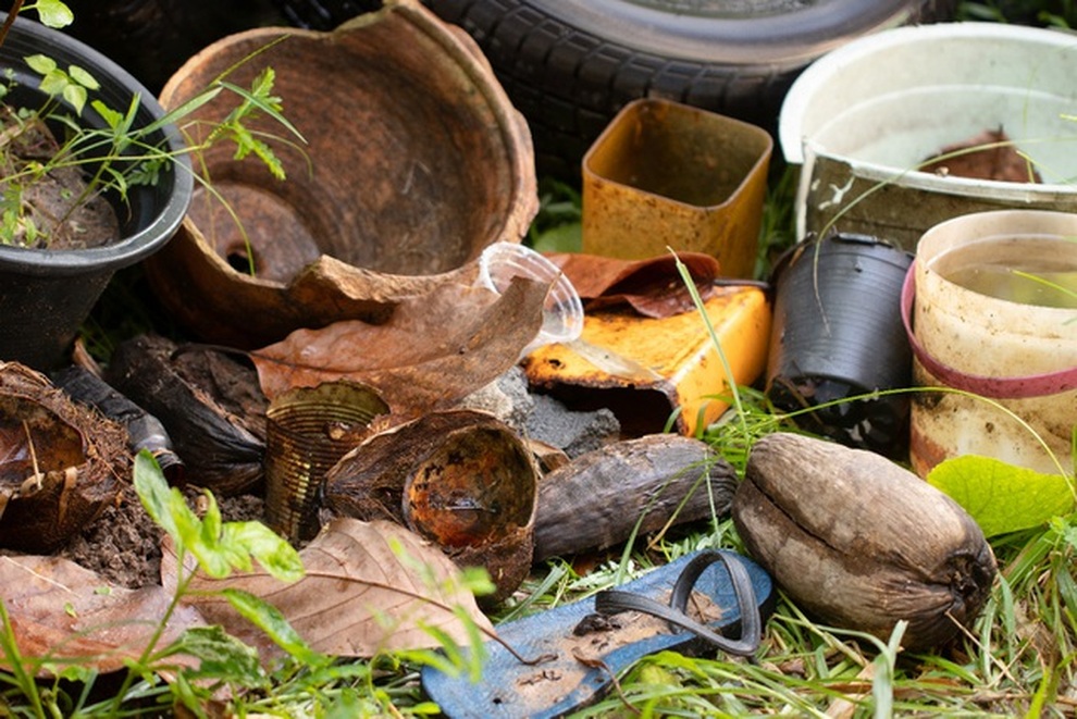 Phân biệt dấu hiệu sốt xuất huyết và Covid-19 - 3