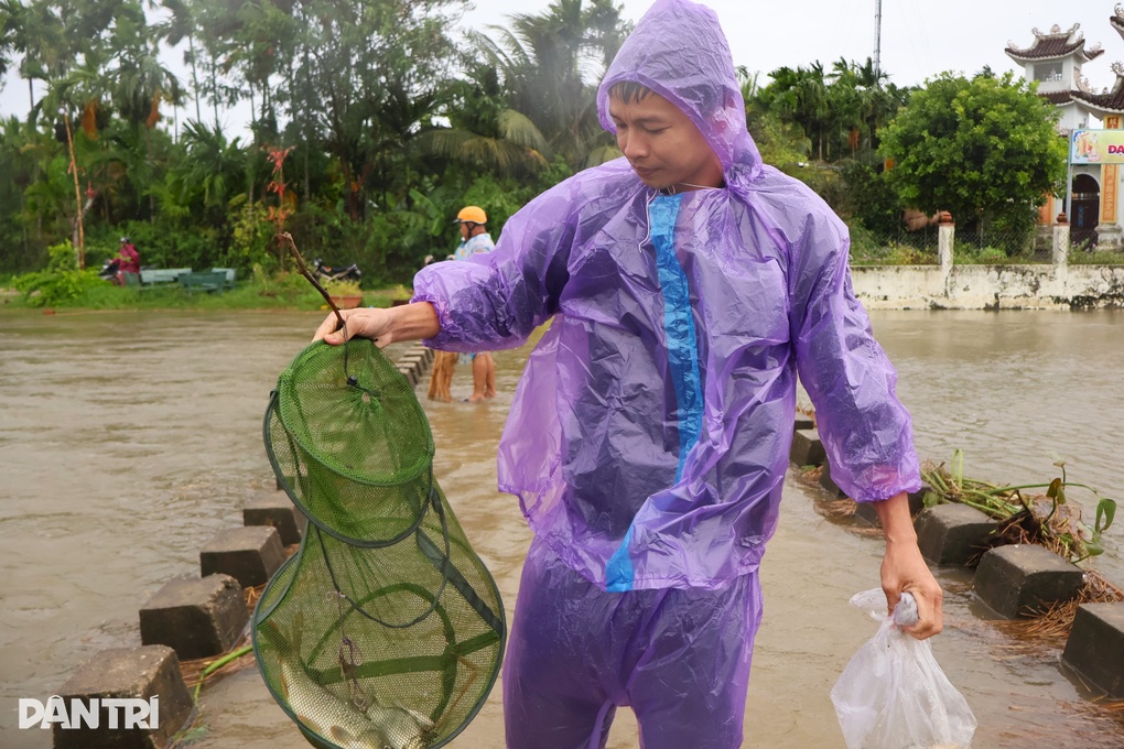 Bất chấp mưa bão, người dân vẫn đổ xô ra đồng kiếm “lộc trời” - 2 Bất chấp mưa bão, người dân vẫn đổ xô ra đồng kiếm “lộc trời” - 2