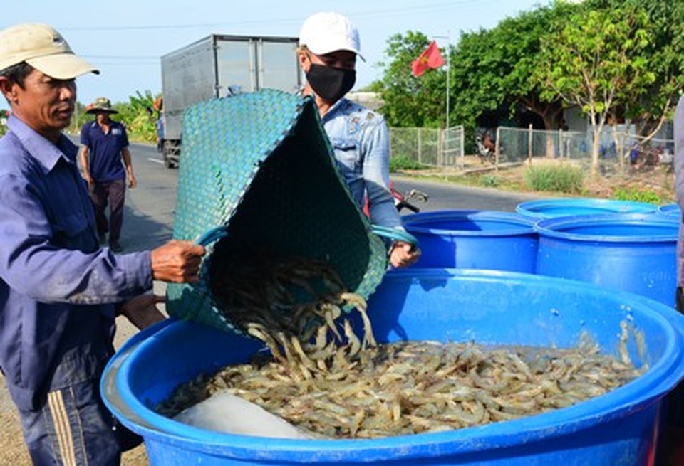 Bạc Liêu: Dự kiến đào tạo 120.000 lao động nông thôn giai đoạn 2020-2030 - 1 Bạc Liêu: Dự kiến đào tạo 120.000 lao động nông thôn giai đoạn 2020-2030 - 1
