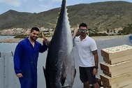 Bất ngờ bắt được cá ngừ khổng lồ nặng 3 tạ dài hơn 3m
