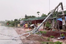 Mưa lớn quật đổ hàng loạt trụ điện ở Gia Lai