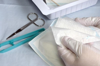 Nhà khoa học Việt tìm ra cách trị vết thương từ vảy cá nước ngọt