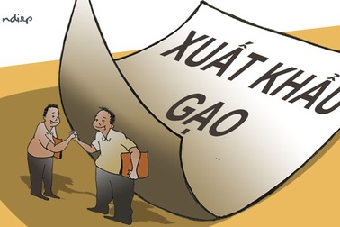 “Bùng nhùng” xuất khẩu gạo, Bộ Công an vào cuộc là rõ ngay!