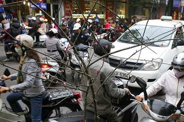 Tết - náo nhiệt và nhẹ nhàng