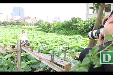 Kiếm chục triệu mỗi ngày nhờ cho thuê dịch vụ “độc lạ” mùa sen