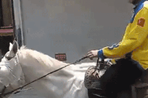 Cưỡi bạch mã đi chơi Valentine giữa trung tâm TPHCM