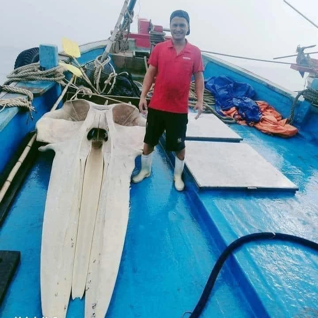 Ngư dân vớt được mảnh xương sọ cá voi nặng hơn 1 tạ - 1 Ngư dân vớt được mảnh xương sọ cá voi nặng hơn 1 tạ - 1