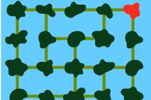 Thử tài bạn đọc bài toán: Độc đạo miền cù lao