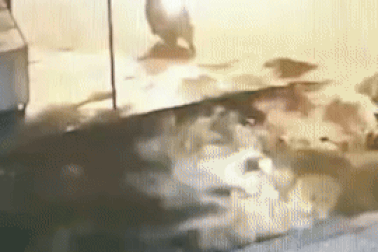 18 thanh thiếu niên dùng dao kiếm, vỏ chai hỗn chiến trong đêm