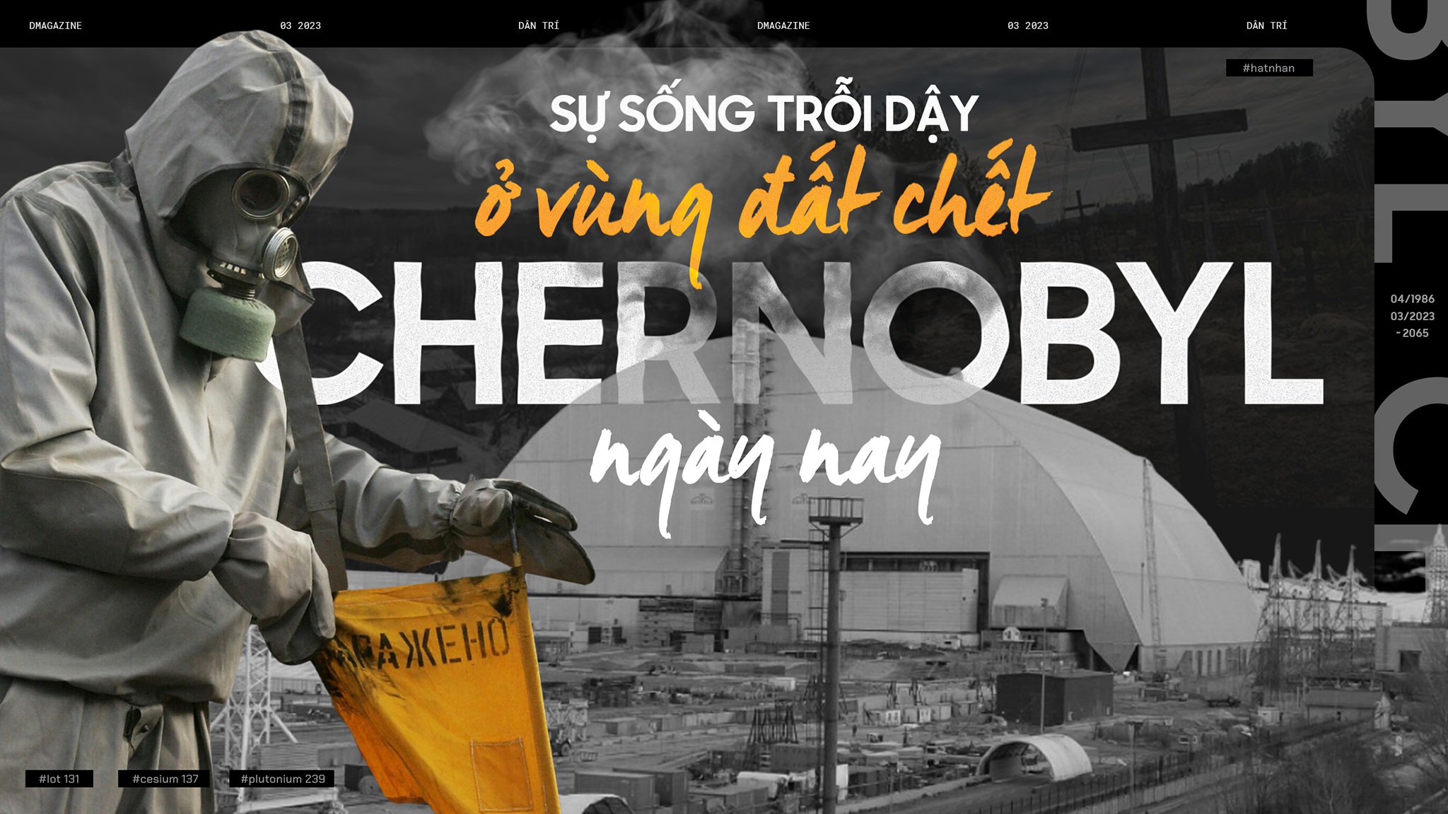 Sự sống trỗi dậy ở vùng đất chết Chernobyl ngày nay