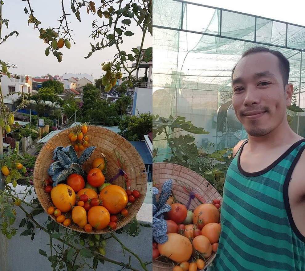 Nhóm bạn rủ nhau làm vườn sân thượng nhiều giống lạ, thu hoạch mỏi tay - 13