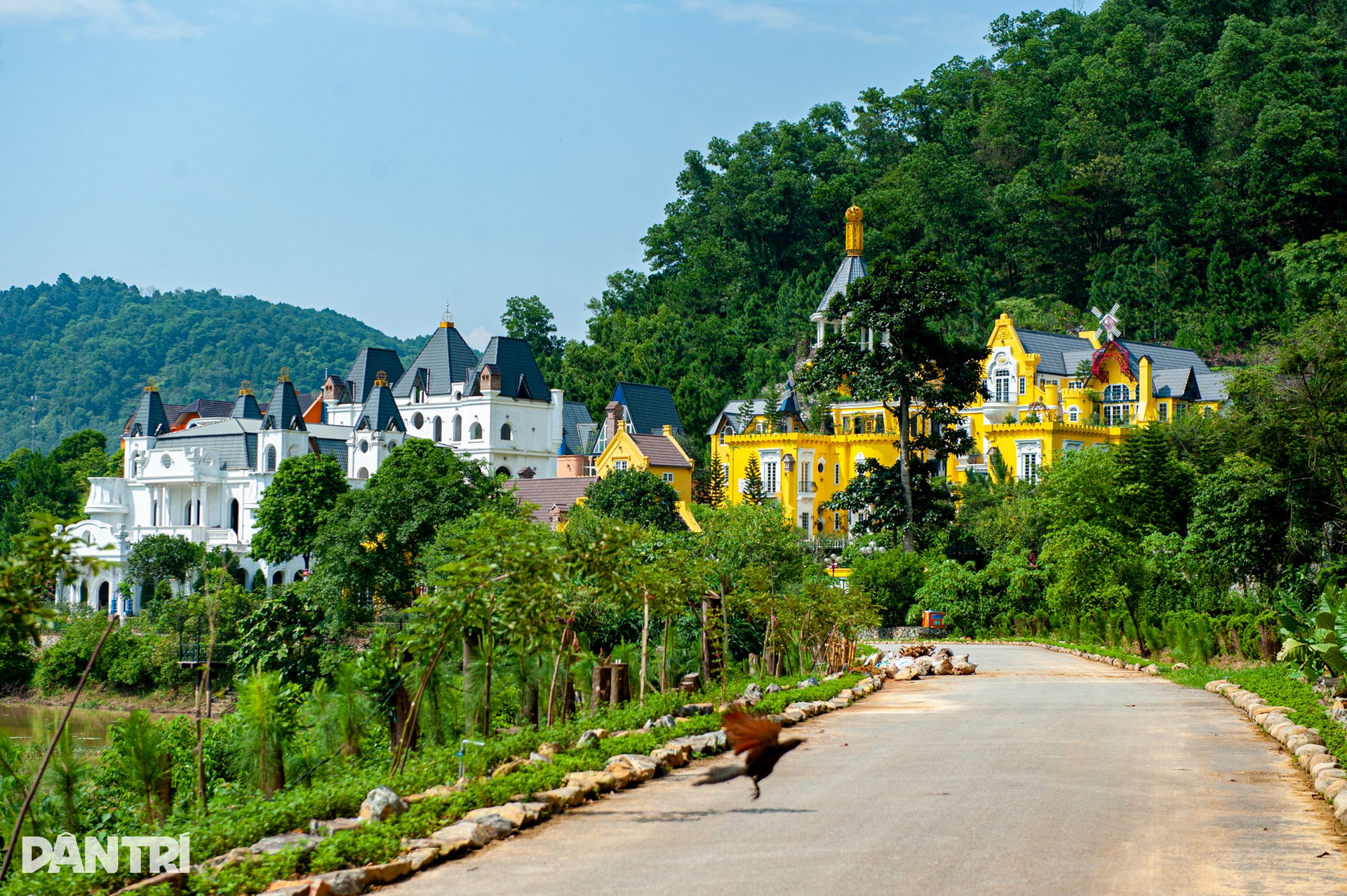 Điểm mặt những biệt thự, homestay xẻ thịt đất rừng phòng hộ ở Sóc Sơn - 13 Điểm mặt những biệt thự, homestay xẻ thịt đất rừng phòng hộ ở Sóc Sơn - 13