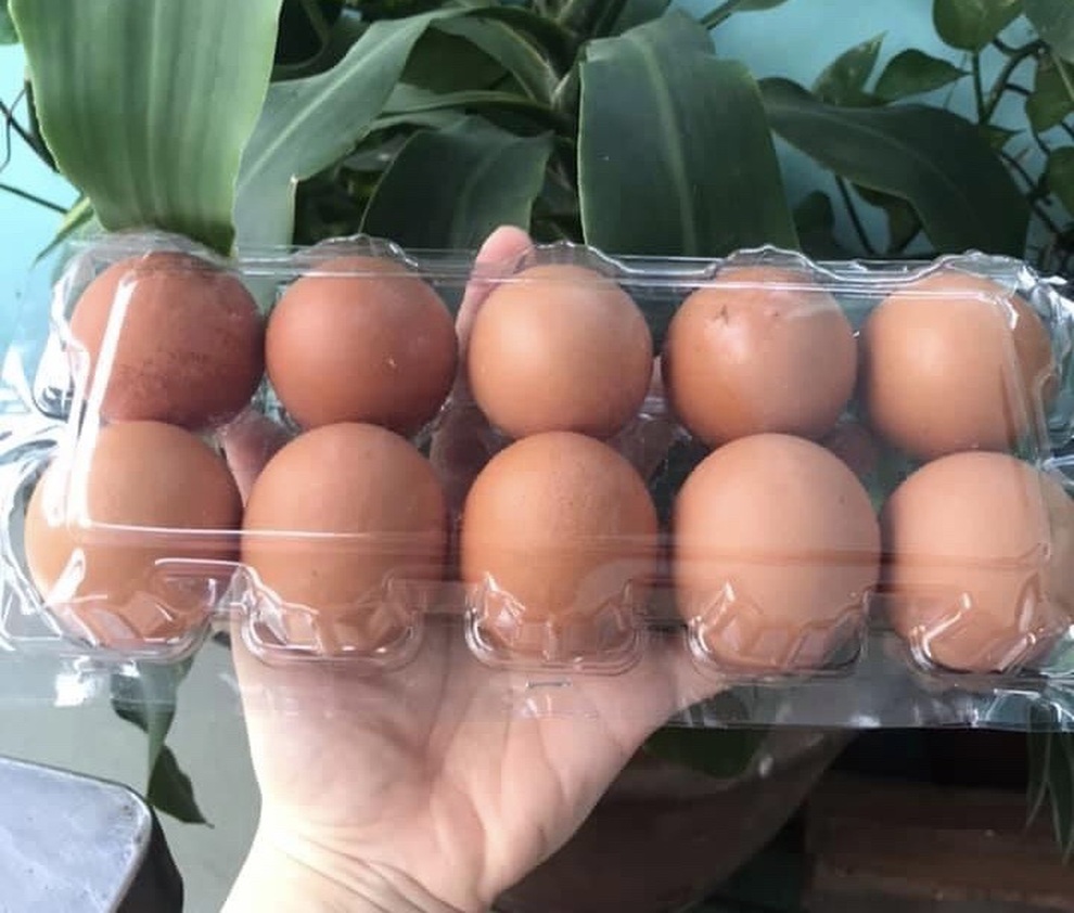 Trứng gà tăng giá gấp đôi vẫn cháy hàng - 2 Trứng gà tăng giá gấp đôi vẫn cháy hàng - 2