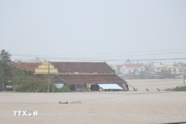 Cộng đồng quốc tế hỗ trợ Việt Nam khắc phục hậu quả thiên tai