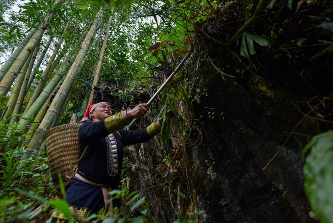 Băng rừng theo người Dao đỏ Sapa đi hái lá thuốc tắm thần dược - 12 Băng rừng theo người Dao đỏ Sapa đi hái lá thuốc tắm thần dược - 12