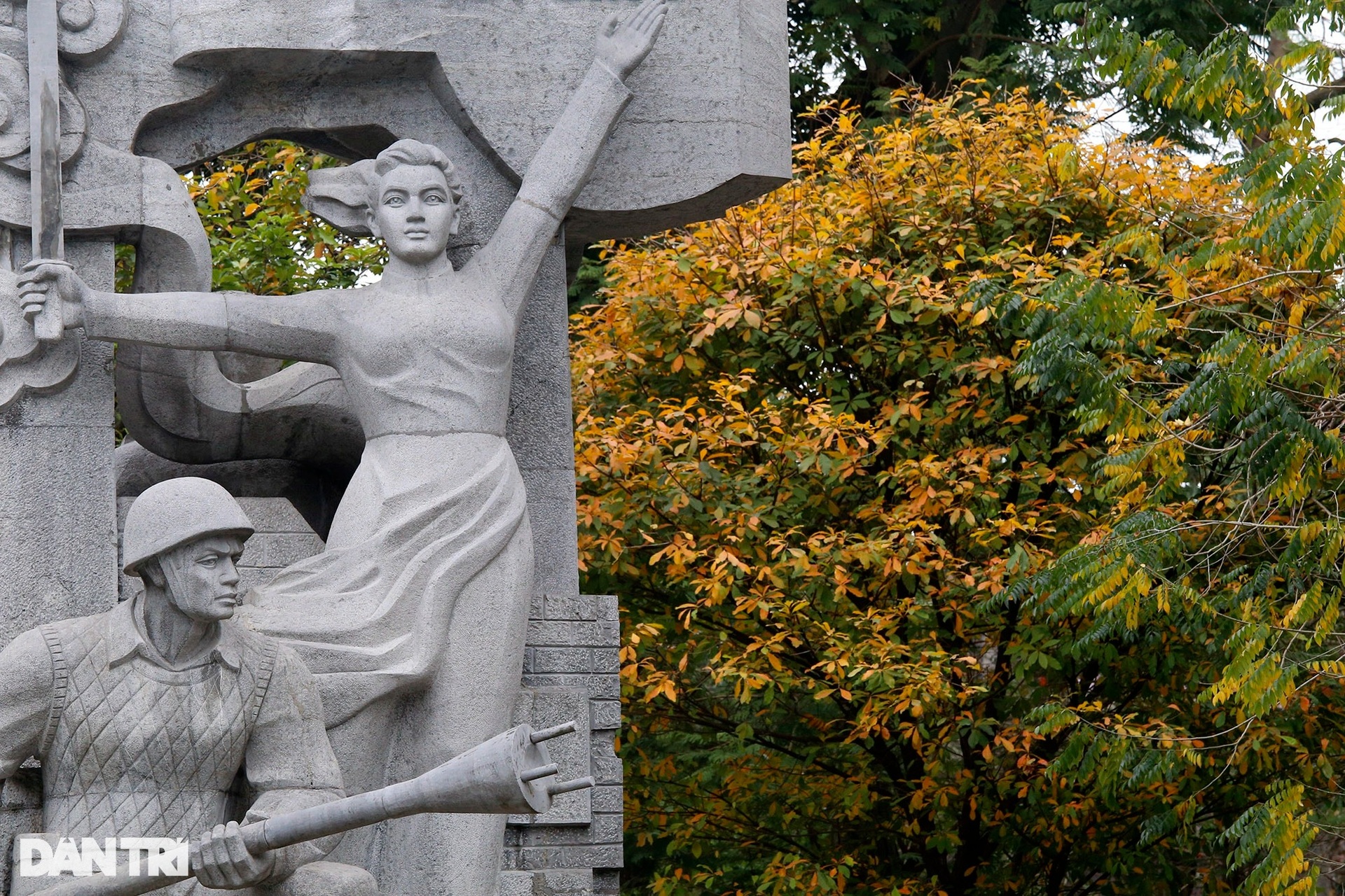 Hà Nội vàng rực trong mùa cây thay lá, giới trẻ đổ xô đi chụp ảnh - 8 Hà Nội vàng rực trong mùa cây thay lá, giới trẻ đổ xô đi chụp ảnh - 8