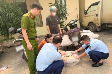 Phát hiện xe máy chở 210kg lòng lợn có dấu hiệu phân hủy