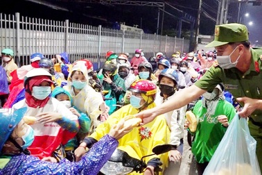 An Giang nỗ lực giải quyết việc làm cho hơn 100.000 lao động hồi hương