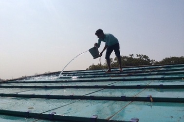 Chàng kỹ sư biến rác thải thành mái nhà, giúp hàng triệu dân nghèo