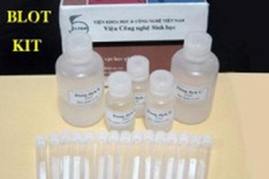 Ứng dụng kỹ thuật mới phát hiện virus gây SXH