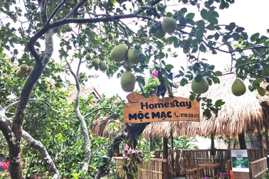 Làng cây trái Đại Bình gia nhập câu lạc bộ điểm đến Quảng Nam