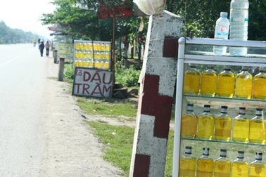 Khám phá “vương quốc” dầu tràm bên quốc lộ 1A