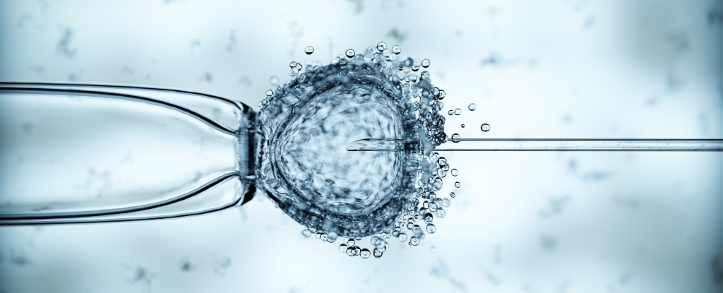 8 em bé chào đời bằng kỹ thuật IVF mang gen của 3 cha mẹ - 1