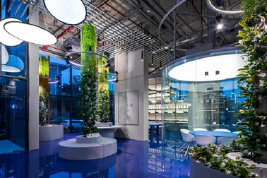 Sống cùng ánh sáng - khi chiếu sáng lấy con người làm trung tâm